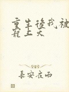 重生后我被太子宠上天