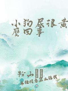 小狗尿很黄是怎么回事