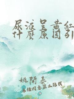 尿液呈黄红色是什么原因引起的