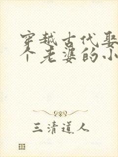 穿越古代娶了八个老婆的小说推荐