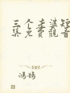 三个老婆短剧全集免费观看