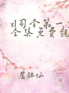 xl司令第一季全集免费观看动漫在线播放