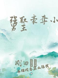 强取豪夺小说双男主