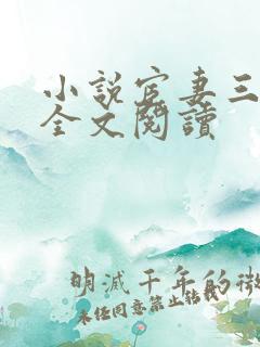 小说宦妻三部曲全文阅读