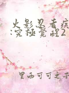 火影忍者疾风传:究极觉醒2