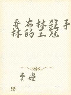 哥布林杀手哥布林的王冠