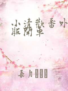 小清欢番外完整版开车