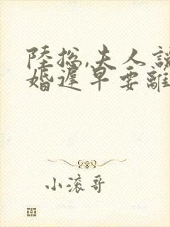 陆总,夫人说这婚迟早要离