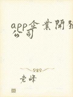 app企业开发公司