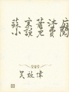 苏寒萧沐庭穿越小说免费阅读全文