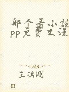 哪个看小说的app免费又没广告