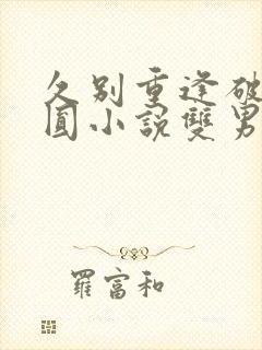 久别重逢破镜重圆小说双男主小说