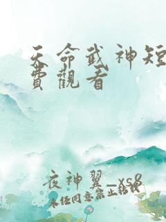 天命武神短剧免费观看