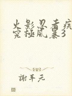 火影忍者疾风传究极风暴3