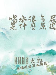 喝水很多尿很少是什么原因