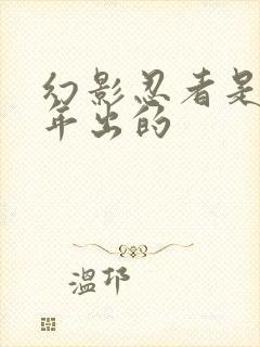 幻影忍者是哪一年出的