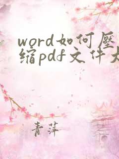 word如何压缩pdf文件大小
