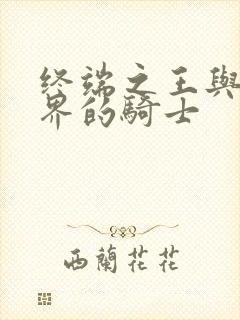 终端之王与异世界的骑士