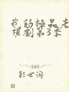 我的极品老婆电视剧第3季