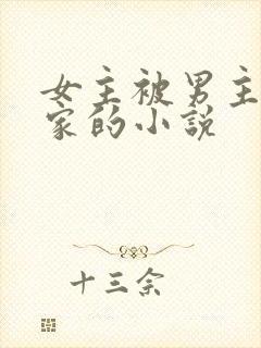 女主被男主捡回家的小说