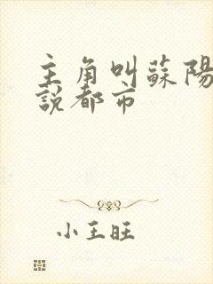 主角叫苏阳的小说都市