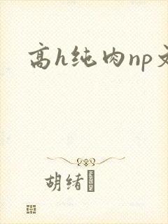 高h纯肉np文