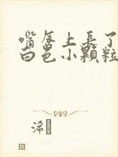 嘴唇上长了好多白色小颗粒是怎么回事