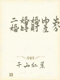 二婚婚内出轨离婚时财产分割