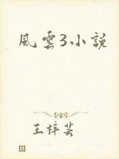 风云3小说