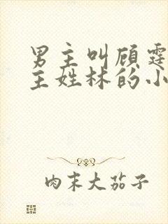 男主叫顾霆琛女主姓林的小说