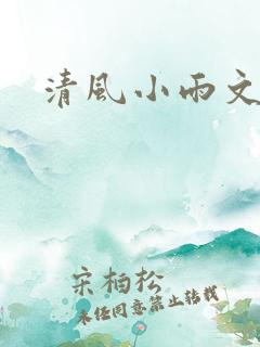 清风小雨文学网
