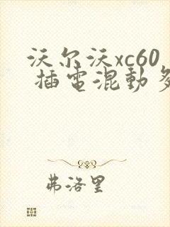 沃尔沃xc60 插电混动多少钱一辆