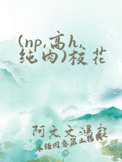 (np,高h,纯肉)校花