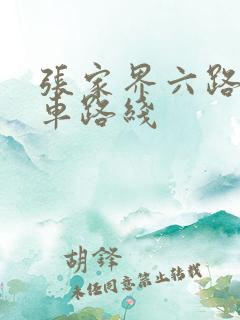 张家界六路公交车路线