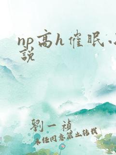 np高h催眠小说