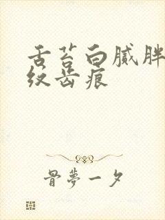 舌苔白腻胖大裂纹齿痕