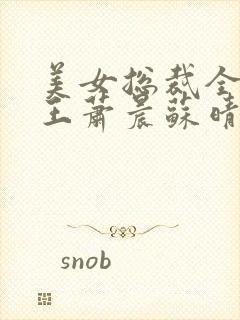 美女总裁全能兵王萧晨苏晴