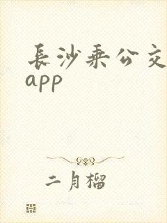 长沙乘公交地铁app