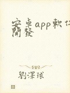 安卓app软件开发