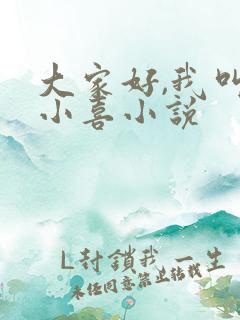 大家好,我叫林小喜小说