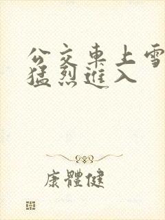 公交车上雪柔被猛烈进入