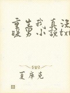 重生我真没想当暖男小说txt