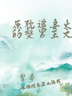 原耽追妻火葬场的双男主文推荐