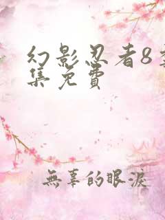 幻影忍者8季全集免费