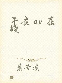 午夜 av 在线