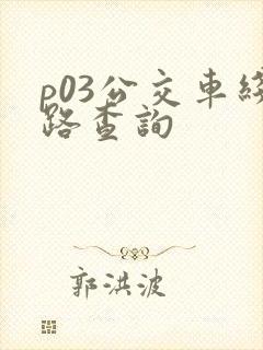 p03公交车线路查询