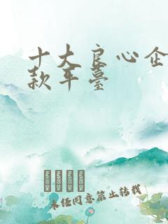 十大良心企业贷款平台