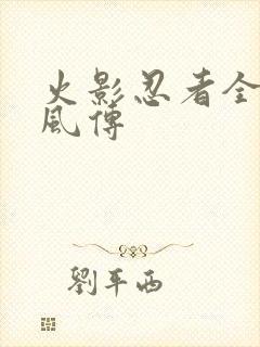 火影忍者全集疾风传