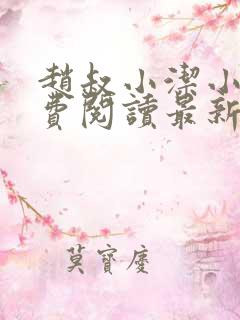 赵叔小洁小说免费阅读最新章节更新