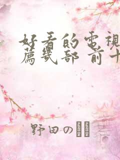 好看的电视剧推荐几部 前十名